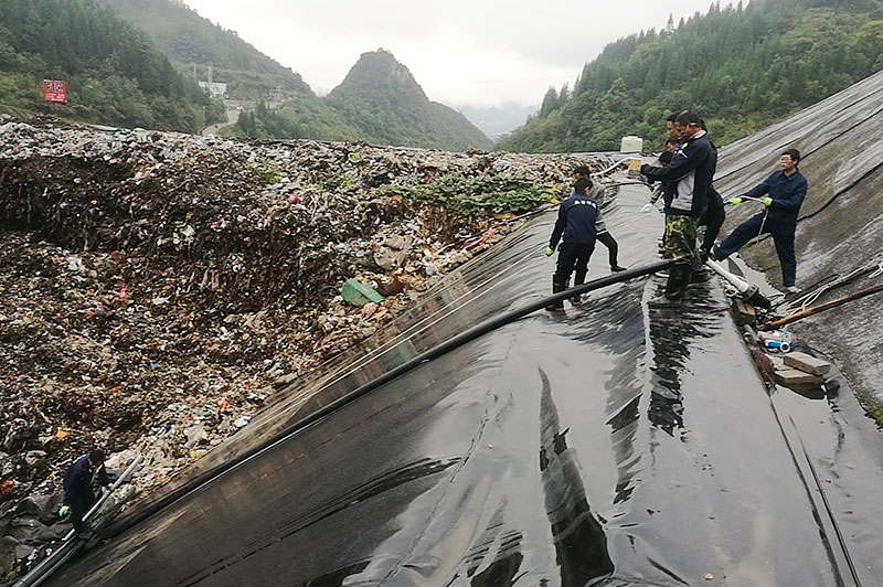 小蝌蚪影视下载填埋现场